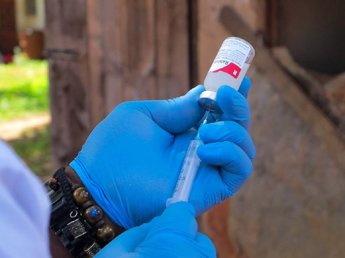 New Three-Dose Rabies Vaccine By Cadila Can Save More Lives Than The Existing Vaccine
